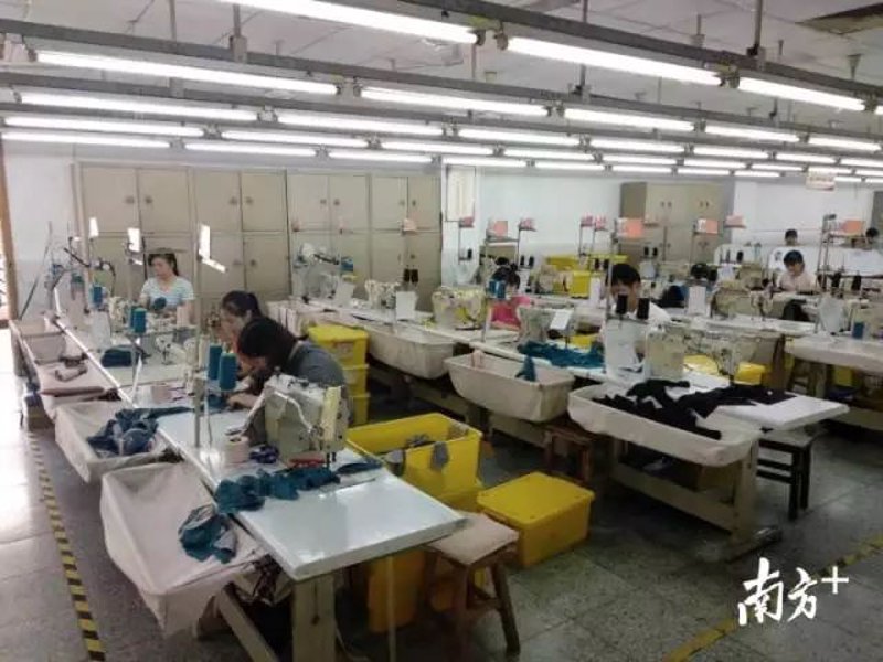 内衣公司的市场策略与发展趋势